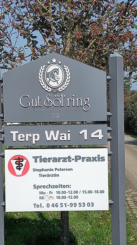 Sylt (15)